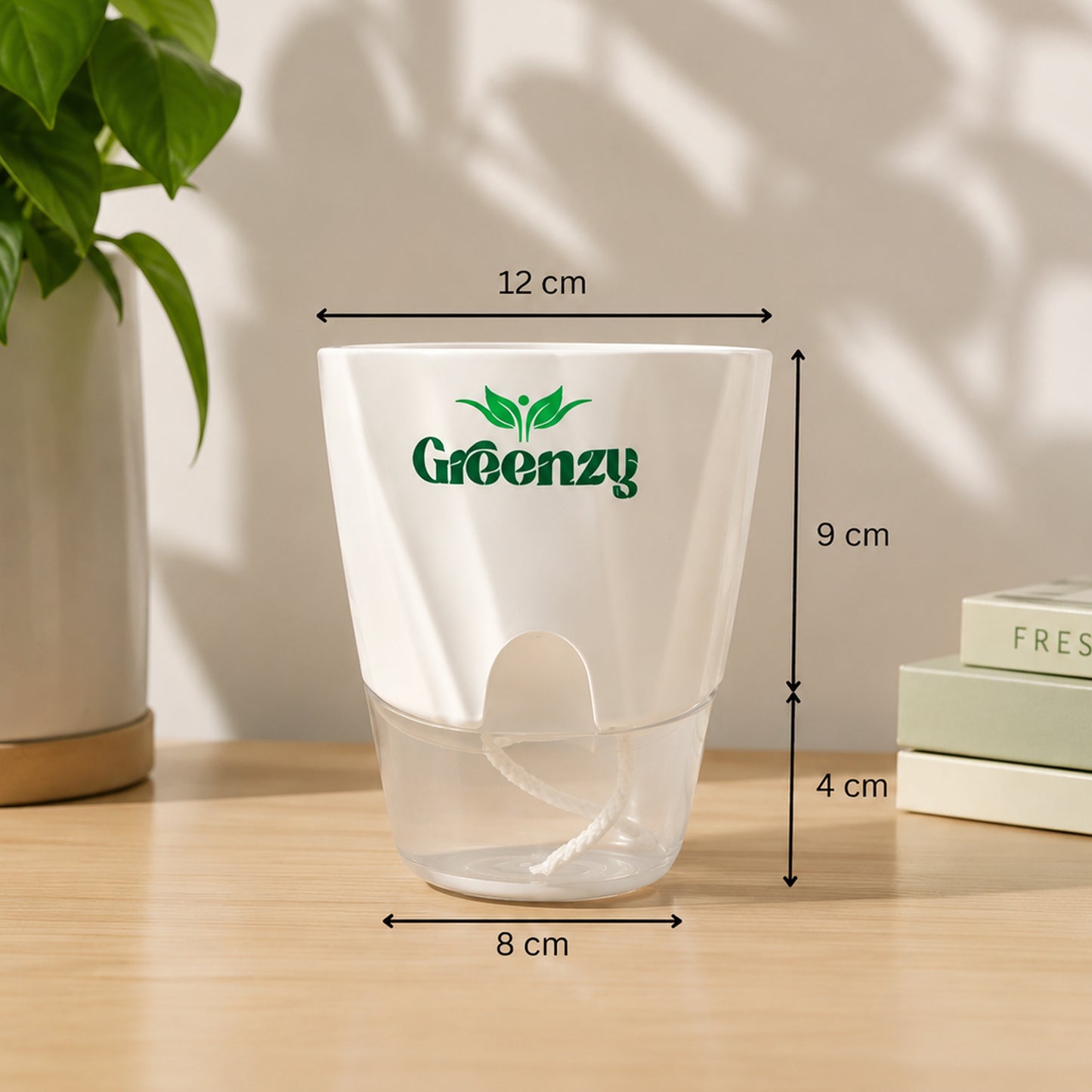 Milky Way Plant – Self-Watering Pot
